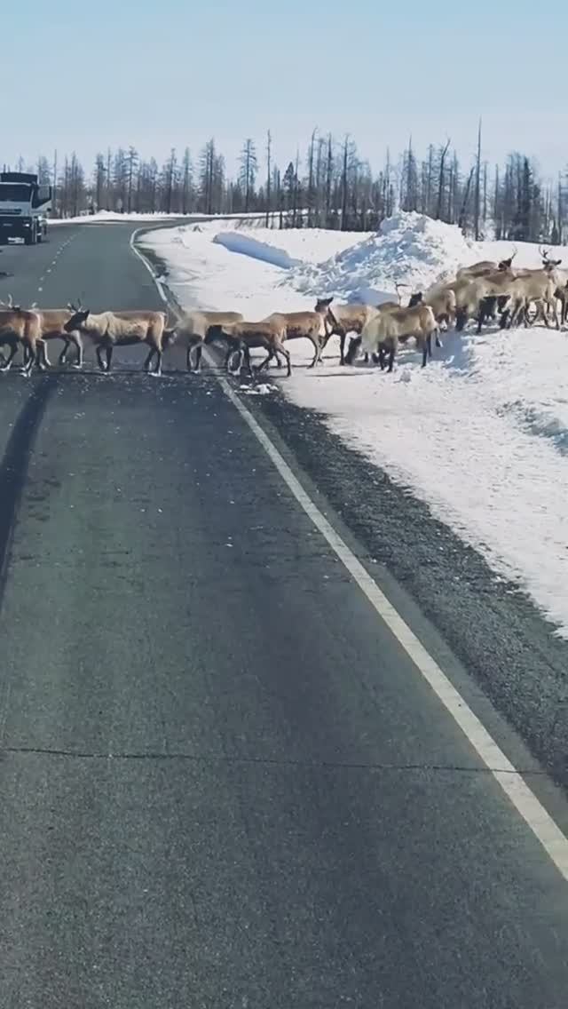 Ходят слухи, что он до сих пор там стоит...😅