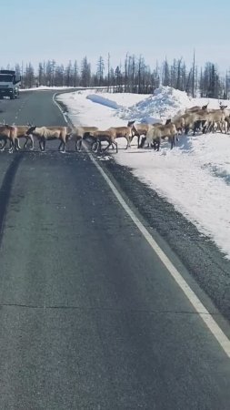 Ходят слухи, что он до сих пор там стоит...😅