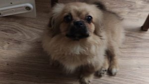 как я ехал в общагу(на работу)