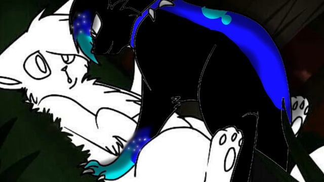 Ищю пару!!!!!!! (кошку) !!! В описании смотреть онлайн