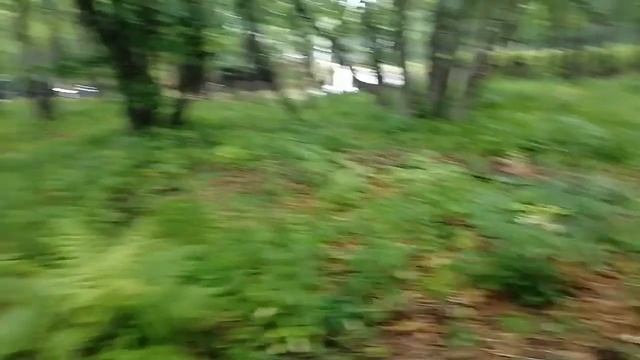 09.07.21.Как было до покоса травы.Запланировал 32 сотки. Заказы на +79241232444 Стороженко Владимии смотреть онлайн