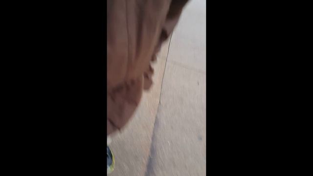 A Taste Of Summer Grand Haven Pronto Pups смотреть онлайн