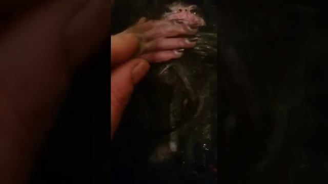 Что это????? смотреть онлайн