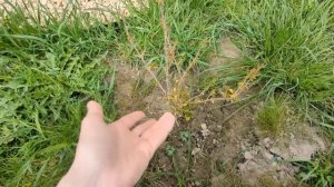 # 372. Создаем уют и красоту в загородном доме и на участке. Загородная жизнь с нуля 2024