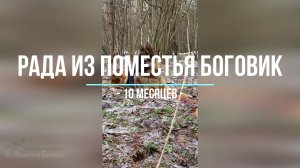 РАДА Из Поместья Боговик 10 мес (San-Rathelle Eurostar & Aderheiden hof iskra)