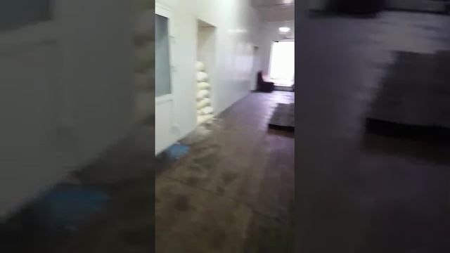 Антисанитария в пекарне