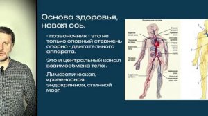 Искривлённый позвоночник. Механика износа тела. Базовые смыслы. Часть 2.