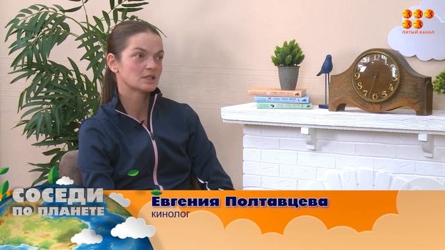 Соседи по планете. Выпуск 44 смотреть онлайн