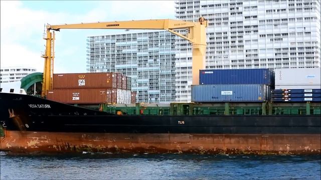 Container Ship | VEGA SATURN