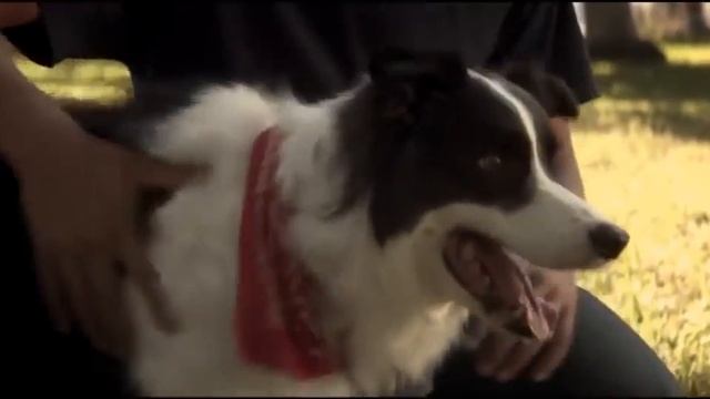 Посланник смотреть онлайн