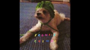 Frankie Cosmos - Sad 2