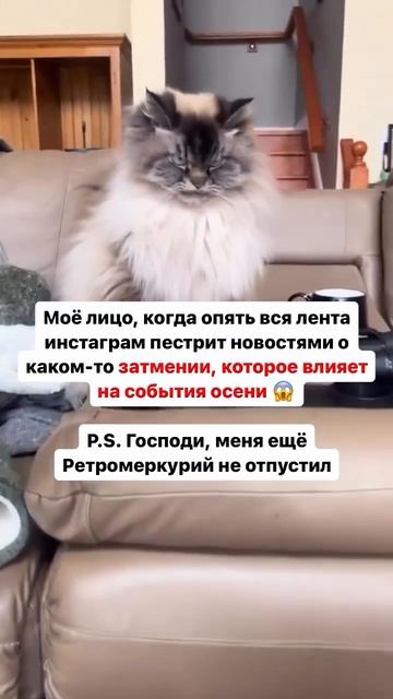 Читай описание! Тг-канал с прогнозами «Что-то там с Кристиной Голубевой» #чакральныекубики #прогноз