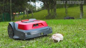 RoboUP Robotic Lawn Mower Review @iRoboUP