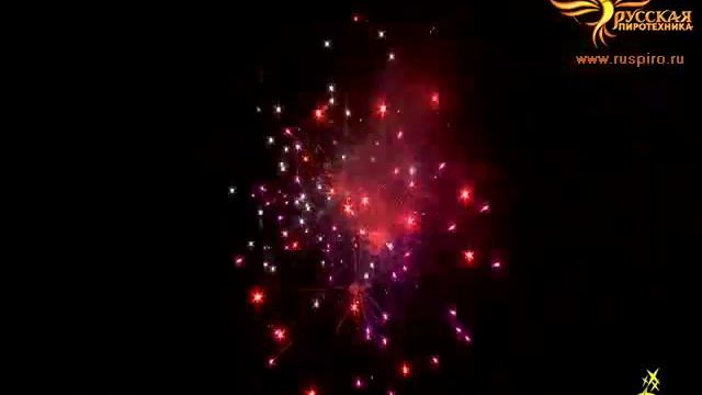 Р8630-14: VIP салют. смотреть онлайн