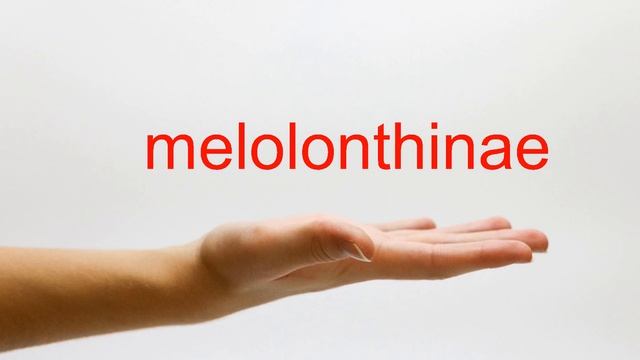 How to Pronounce melolonthinae - American English смотреть онлайн