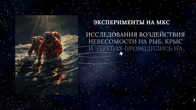 Звёздные путешественники. Животные - покорители космоса смотреть онлайн