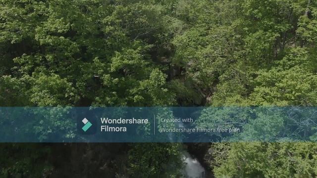 Nature landscapes (forest and mountains) to relaxing music