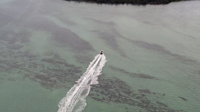 DJI AIR 2s (25 action mercury racing) смотреть онлайн