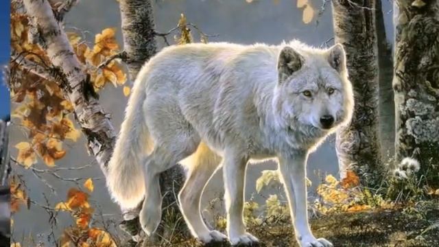 Солнце светит всем! смотреть онлайн