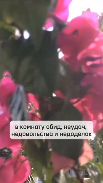 Медитация в день Осеннего равноденствия #кундалинийога #здоровье #медитация #сила #равноденствие смотреть онлайн