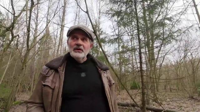Великобритания. Где мы жили, язык, как понимать и учить, овсянка, чай. Где мы были, чем занимались.