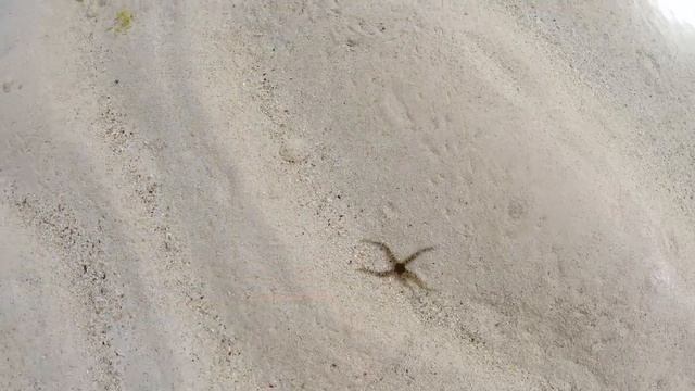 Best of Zanzibar 2019 - Gopro7 and Fuji X-T3 смотреть онлайн