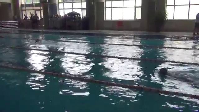 Женщины Брасс 100 м смотреть онлайн