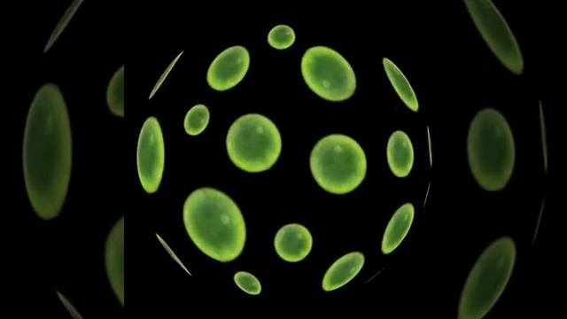 Largest смотреть онлайн