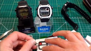 Casio DW-291H mod.
