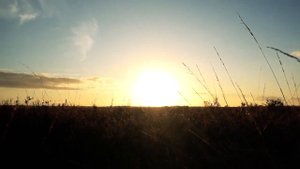 футаж поле Sunset videos закат солнце природа пейзаж