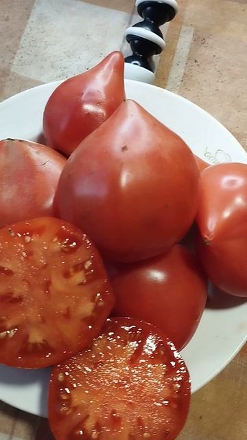 Томат Японка в разрезе. г. Киров. Ватсап, Вайбер т. 89229284031 смотреть онлайн