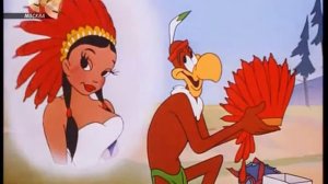 Дятел Вуди - Обработка скальпов 1952 (Тридцать седьмая серия)