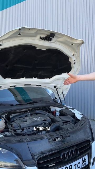 Как мы ЗАПРАВЛЯЕМ кондиционер 🤓 #кондиционер #автоателье #audi