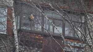 Тест объектива Юпитер-21М 200mm f/4 m42: вперед на охоту