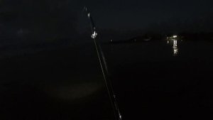 Рыбалка с берега в Черногории. сибас на 5 кг. Как заработать 100 евро за час в Черногории.