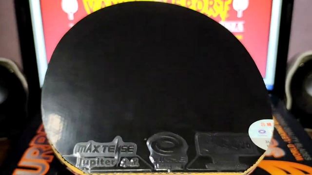 Setup Surbex Tiger Light Dengan Karet Yinhe Jupiter II & Venus III
