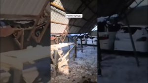 Навес упал.Неправильный расчет ферм.Проектирование.Навес.Ангар.Ошибки при расчете ферм.#навес #рек