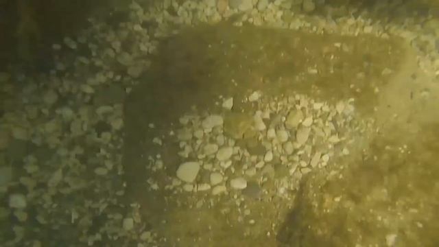 Судак чистая водичка) 28.06.2017 смотреть онлайн