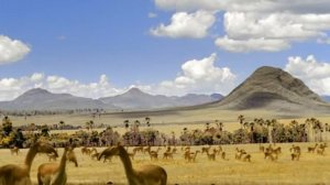 Макраухения ( Прогулки с чудовищами )