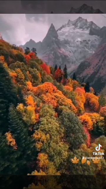 Красивая музыка смотреть онлайн