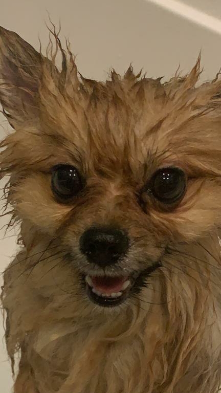 ПОЕЗДКА НА ЧЕЛЯБИНСКИЕ ОЗЕРА 😳