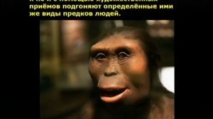 Теория эволюции как самая глобальная ложь.ч.2 . Ирина Болл