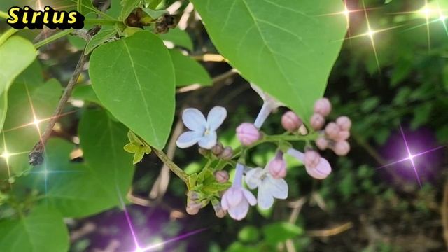 Что ждать знакам Зодиака 06 июня 2024 смотреть онлайн