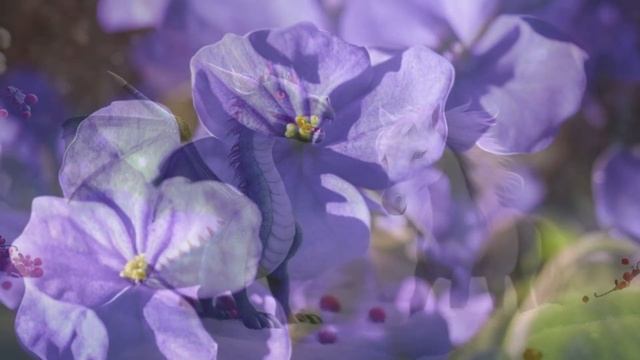 Предсказания для всех знаков /Китайский Гороскоп на Апрель 2024 смотреть онлайн