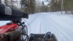 Покатушки на Иж Планета 5 по лесу