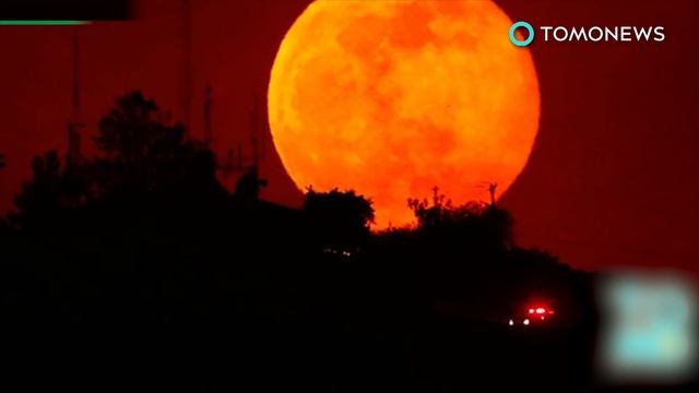 Great American Eclipse 2017: Staring directly at the sun can cause solar retinopathy - TomoNews смотреть онлайн