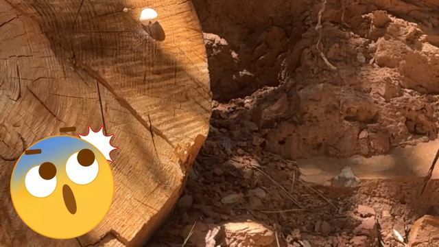 ПРАЗДНУЕМ ПРАЗДНИК ДЕНЬ МАМЫ ВСЕЙ СВОЕЙ СЕМЬЁЙ+P.S. ДОПОЛНЕНИЕ//ПРИЯТНОГО  ПРОСМОТРА смотреть онлайн