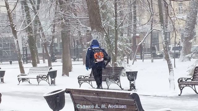 Снежный день