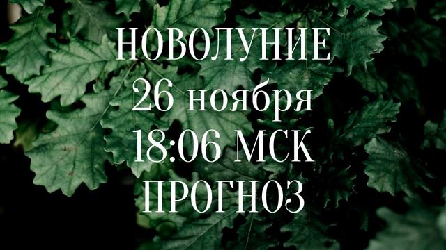 НОВОЛУНИЕ 26 ноября - желания в шоке от возможностей! смотреть онлайн