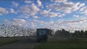 1 гонка. 252км. Московский регион. Старт 26 мая 2024 года.